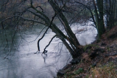 Strecke
