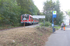 P1060428