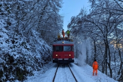 PXL_20240120_123835201
