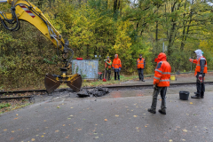 PXL_20251025_081809645